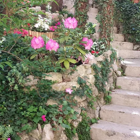 Studio Apartment Green Gallery With Free Private Parking Apartment Opatija