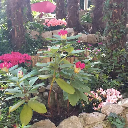 Studio Apartment Green Gallery With Free Private Parking Apartment Opatija