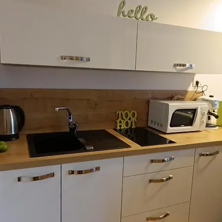 Studio Apartment Green Gallery With Free Private Parking Apartment