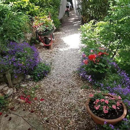 Apartment Studio Apartment Green Gallery With Free Private Parking Opatija