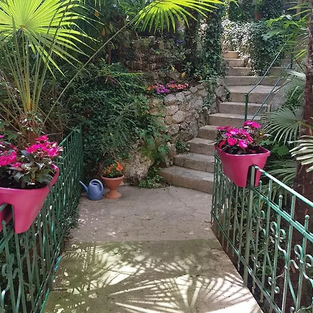 Studio Apartment Green Gallery With Free Private Parking *
